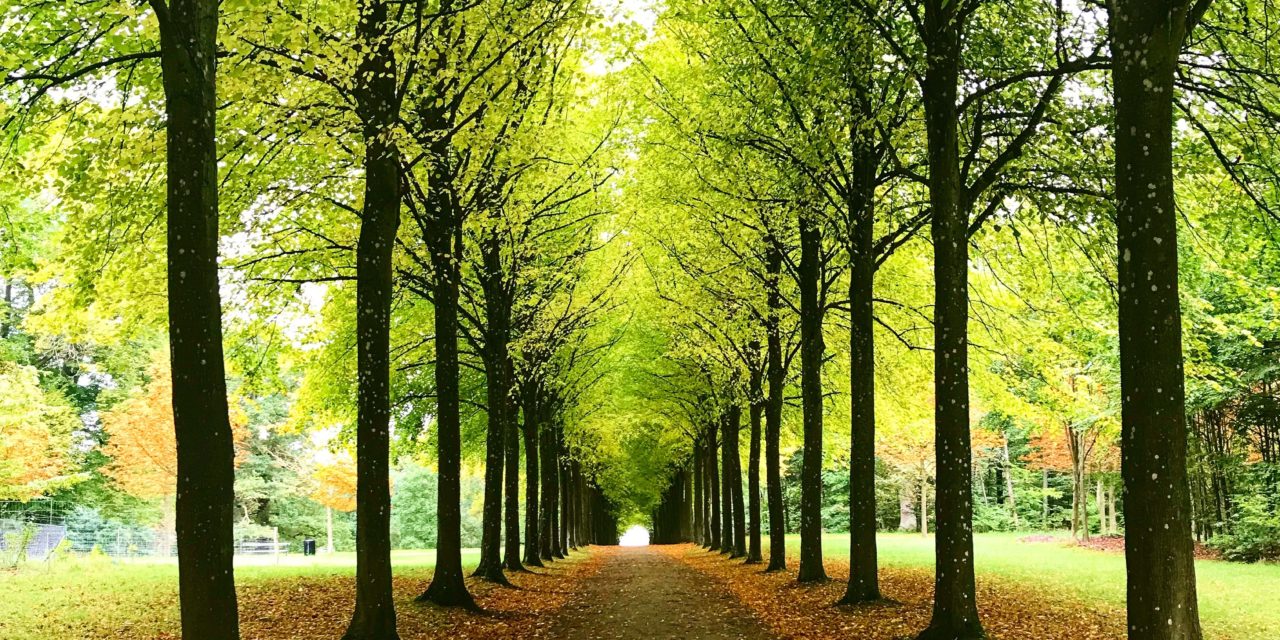 På natten lyssnar jag på poddar