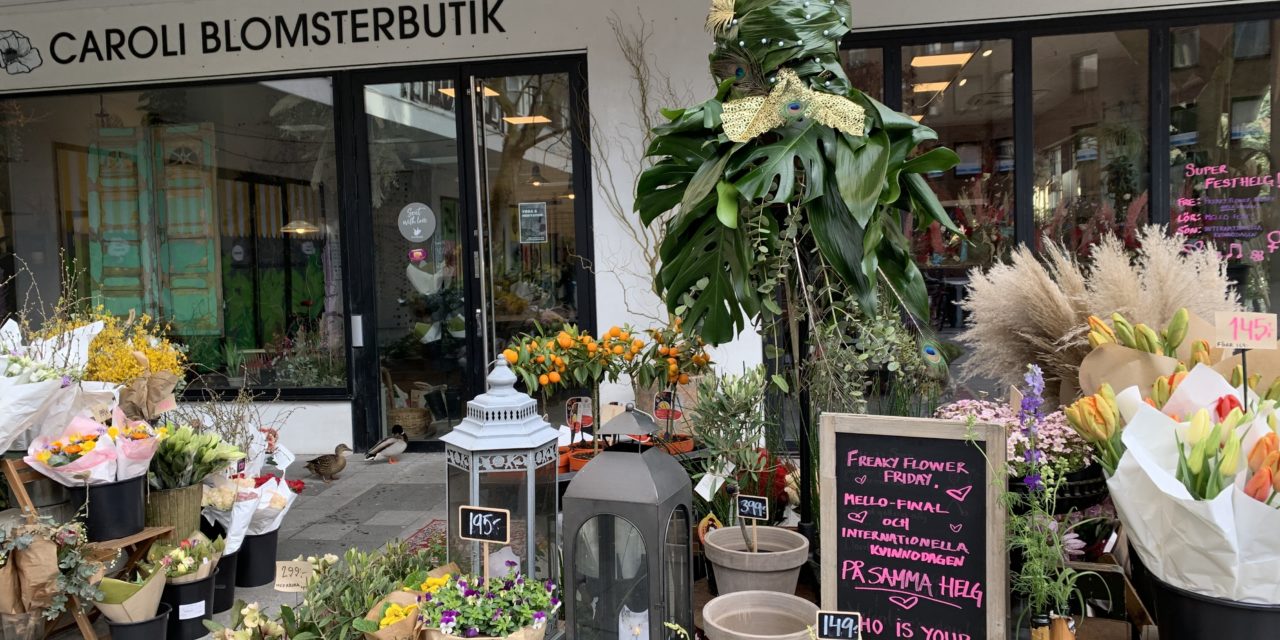 Röja, fixa, städa, rensa…