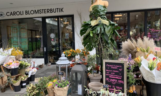 Röja, fixa, städa, rensa…