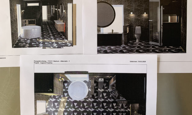 Vad tror ni om vårt nya badrum? För mörkt?