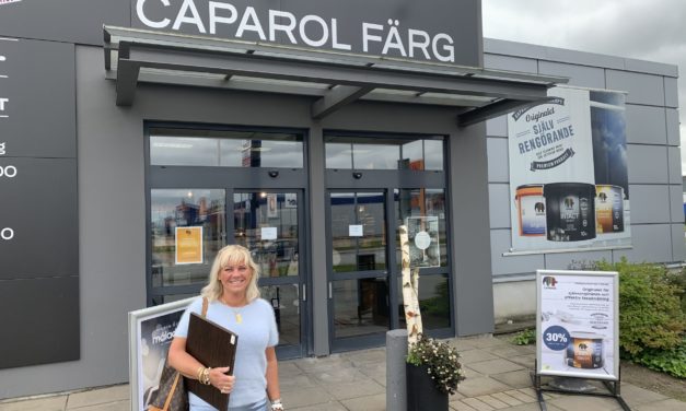 En orgie i färg och form. Visionen av vårt nya hus växer fram!