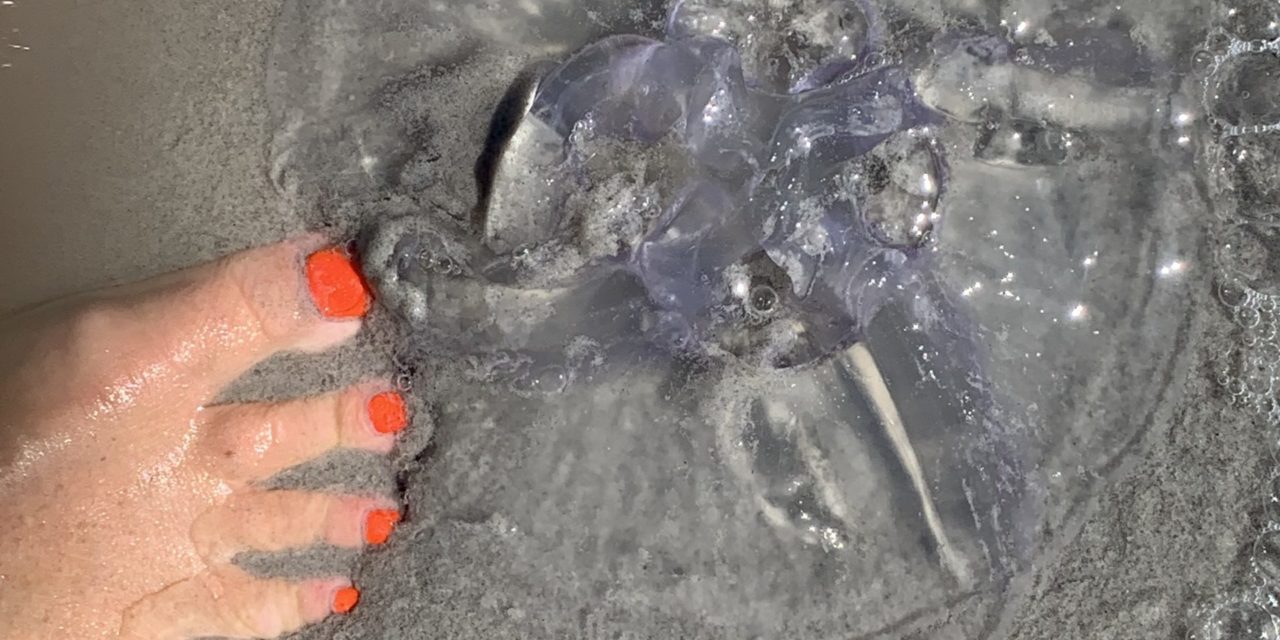 Fitbit var en toppeninvestering!