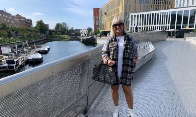 Varken skjorta eller jacka. Kanske skjortjacka?