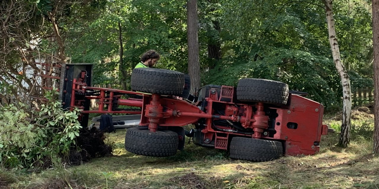 Under träd, buskar och sly visade det sig att vi hade en rejäl trädgård!