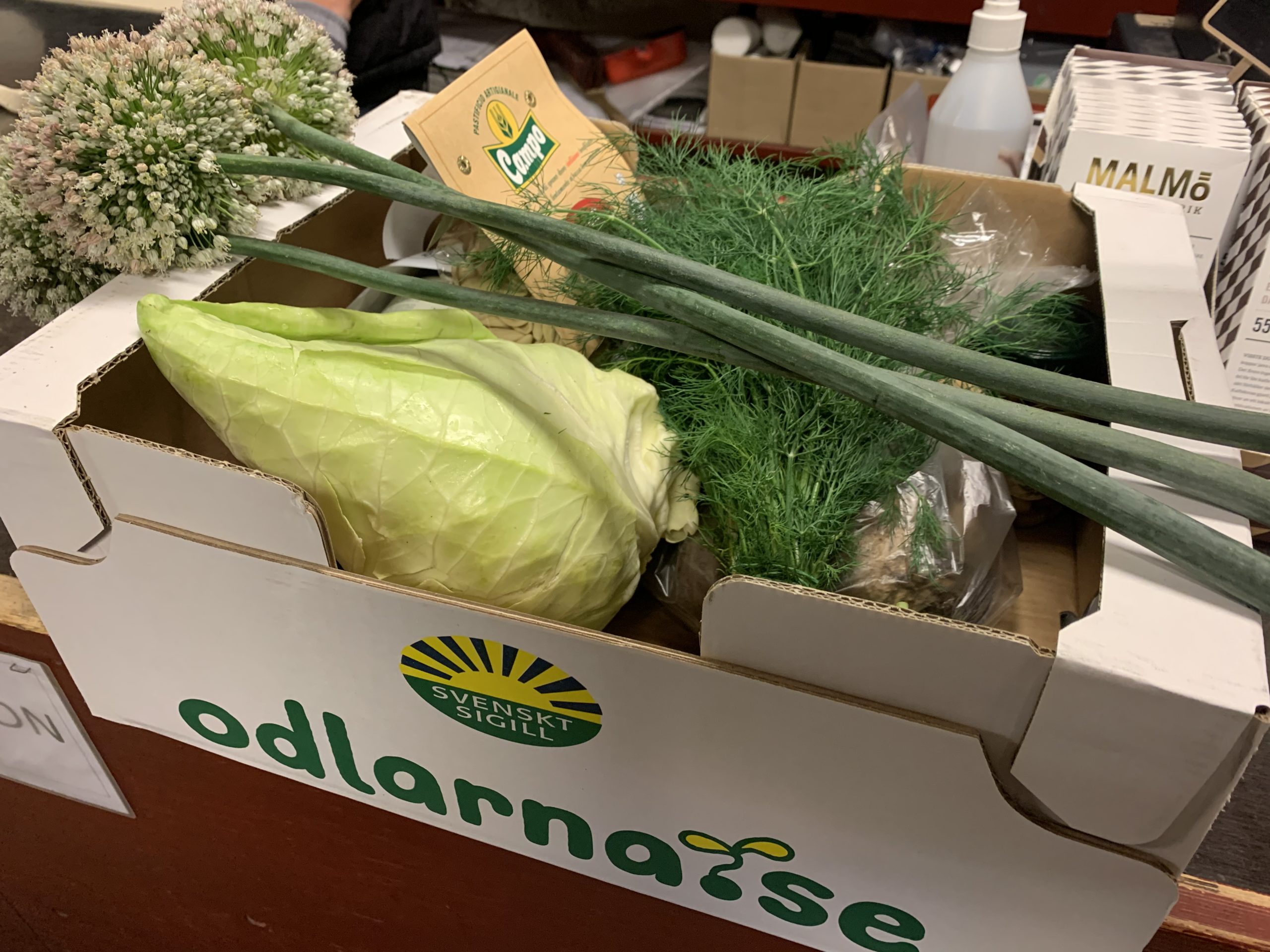 En hel låda fylld med goda grönsaker