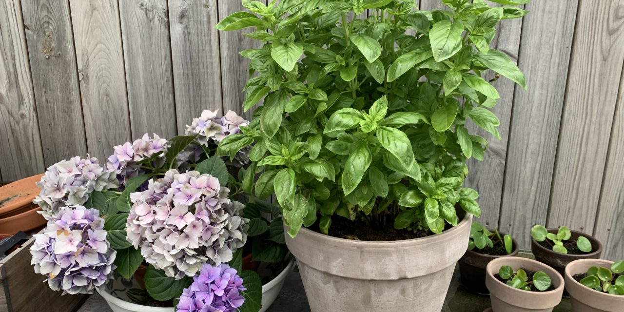 Plötsligt händer det…