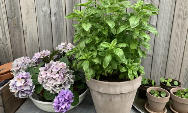 Plötsligt händer det…