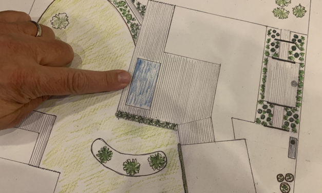 Nu har vi sått första fröet till vår nya trädgård!