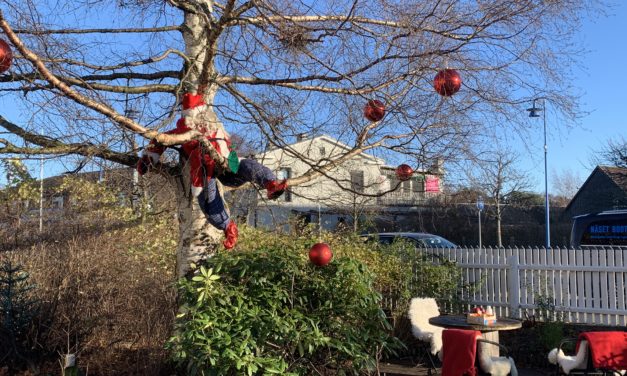 Finns det något mysigare än advent?