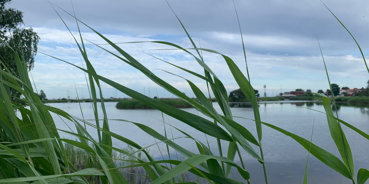 Tänk så mycket kul man hinner på en minisemester!