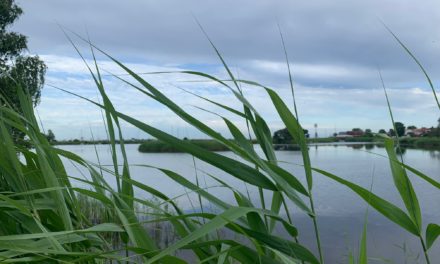 Tänk så mycket kul man hinner på en minisemester!