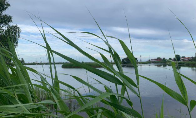 Tänk så mycket kul man hinner på en minisemester!