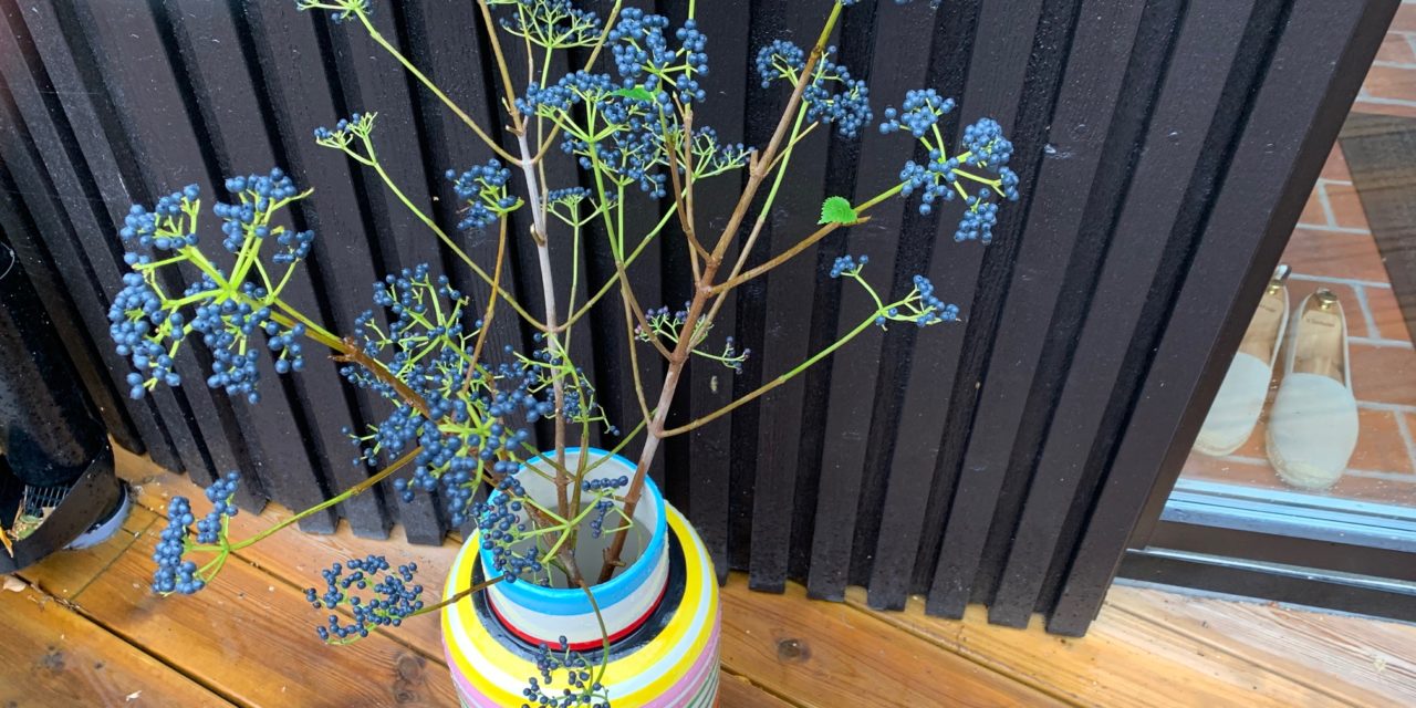 Tänk så mycket blommor gör för ett hem!