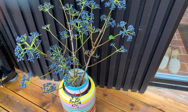 Tänk så mycket blommor gör för ett hem!