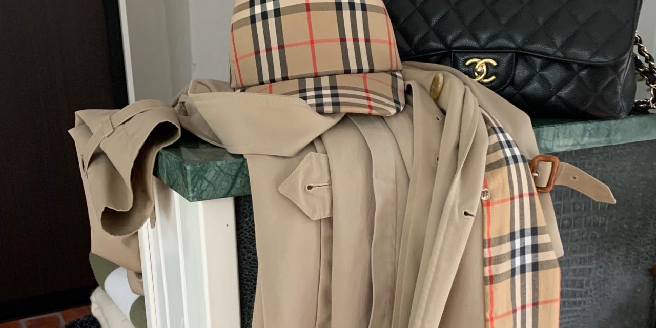 Klart fodret i min trenchcoat ska ha en kompis!