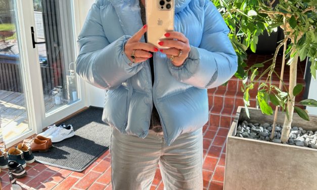 Silver lining och mörkbruna skinnbrallor