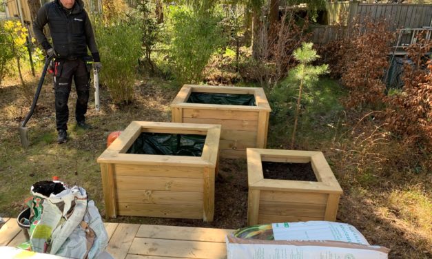 Så spännande att se vad detta ska bli! Väx, väx, väx!